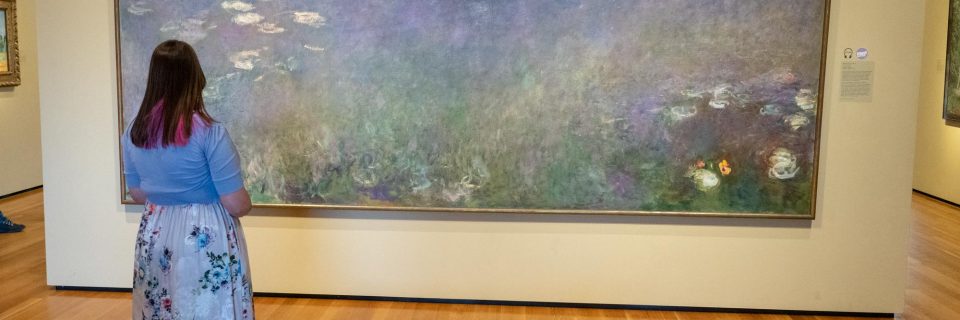 We provide exhibition
services from 2 years